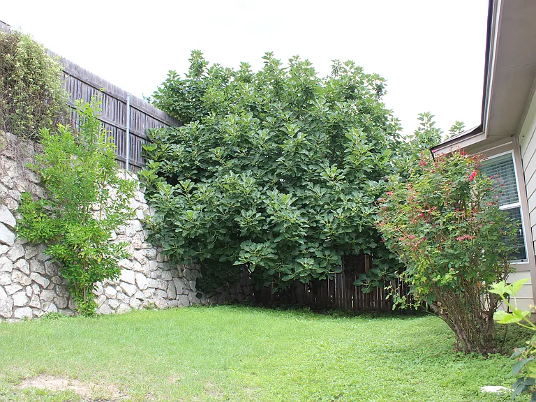 12131 Patton Point — Photo 11