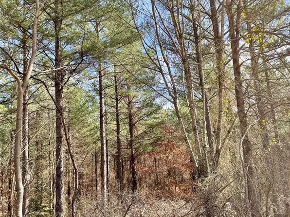 766 Timber Crk, Horatio, AR 71842