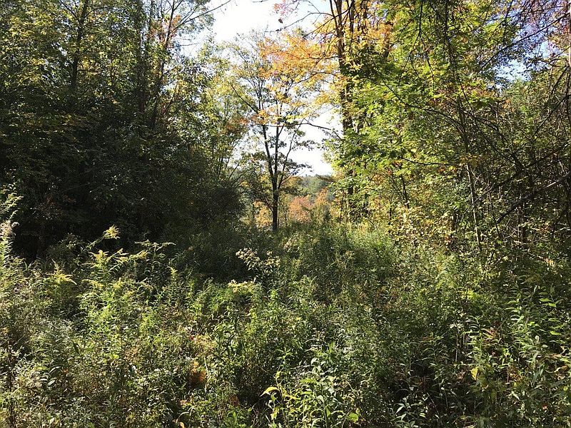 2nd image of MURRAY HILL Road