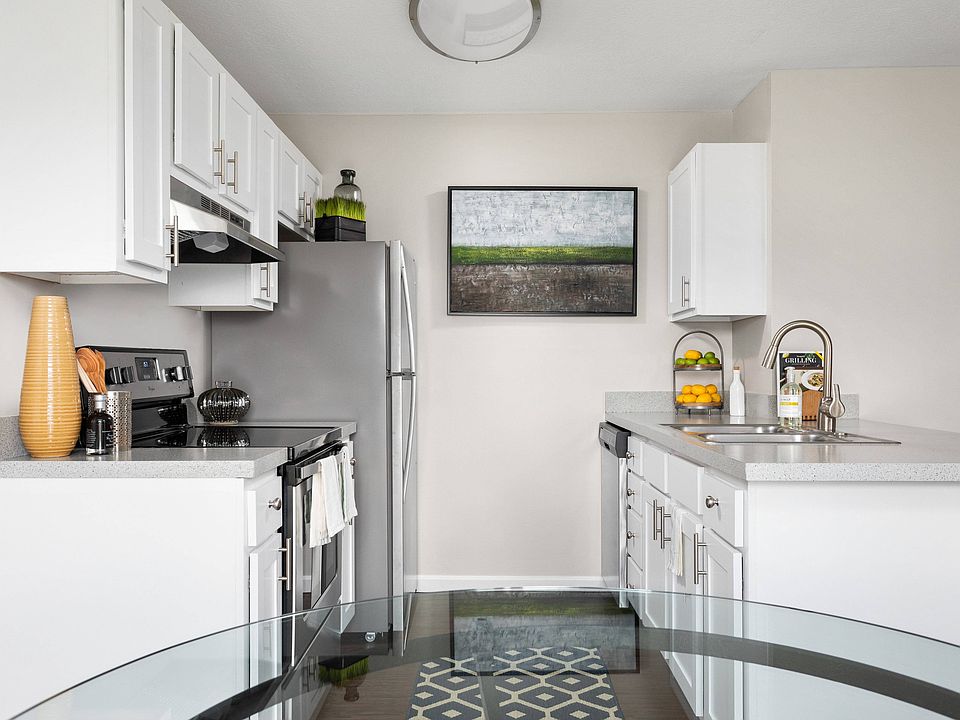 Modern Kitchen