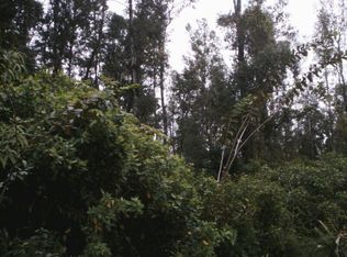 32nd Avenue Uhaloa LOT 152, Keaau, HI 96749