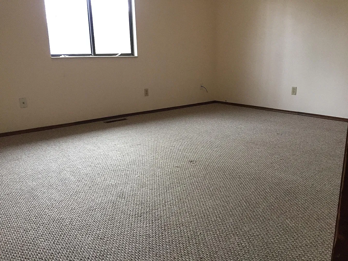 2 bed, $1,000 — Photo 3