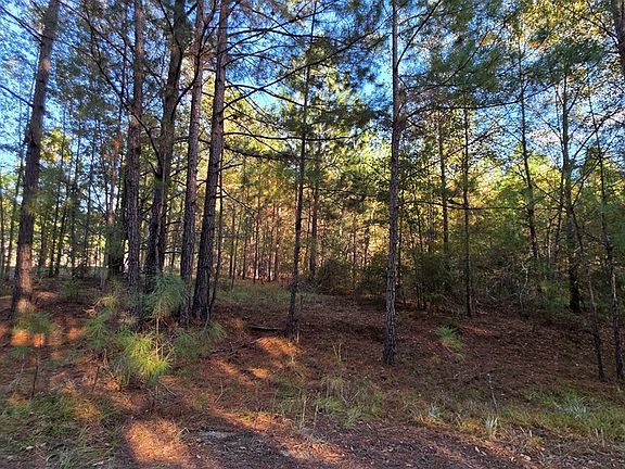 2nd image of 0 Deerwood & Brentwood