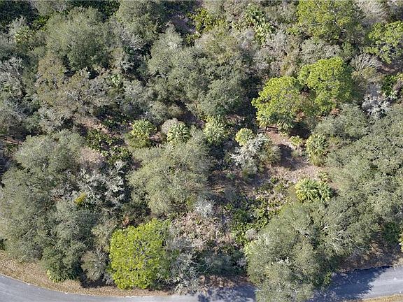 5th image of 10332 N Coco Plumosa Dr