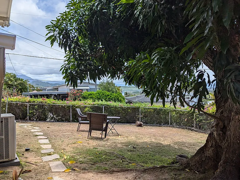 Yard with mango tree