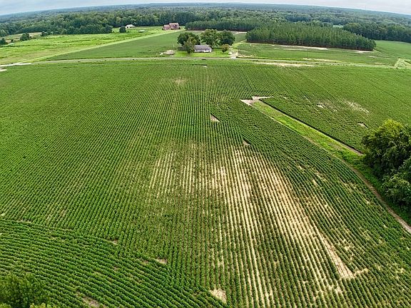 Dji Fly 20260805 095618 0033 1786025583227 Photo