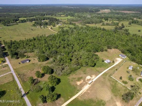Pine View Rd, Collins, MS 39428