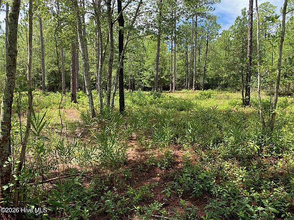 2nd image of 361 Ash Rd Lot 32&33