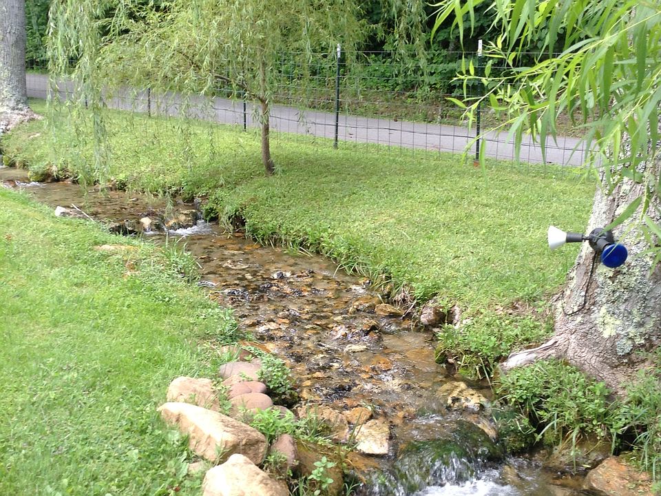2nd image of 875 Tweed Springs Rd