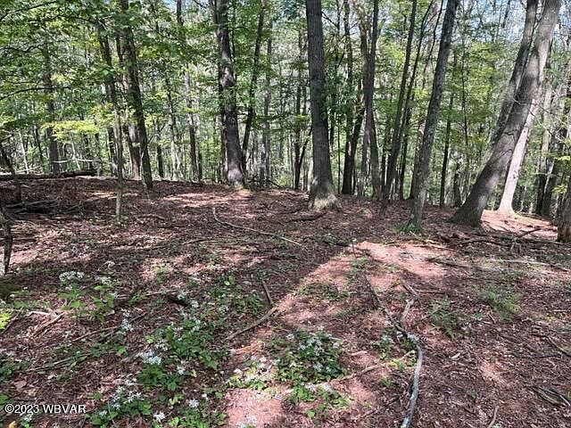 1st image of PARCEL 178.01 Windfield Dr