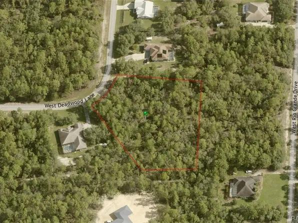 6156 W Deadwood Ln, Beverly Hills, FL 34465