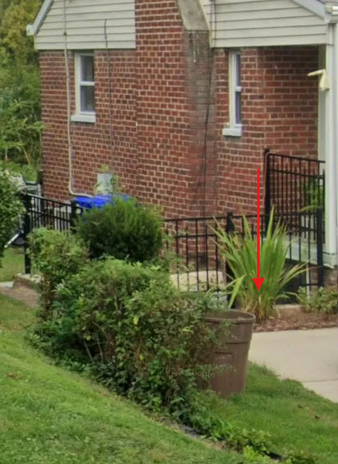 1 bed, 1000 sqft, $1,500 — Photo 3