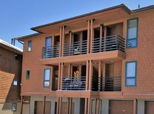 433 Salt Lick Cir, Silverthorne, CO 80498