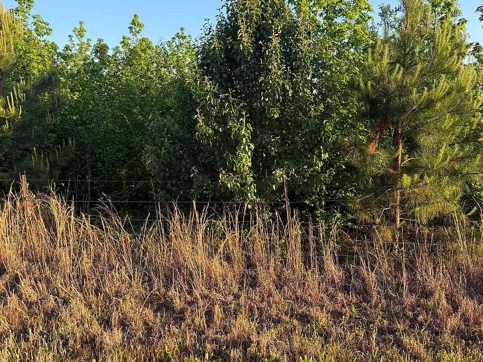 2nd image of 0 County Road 106
