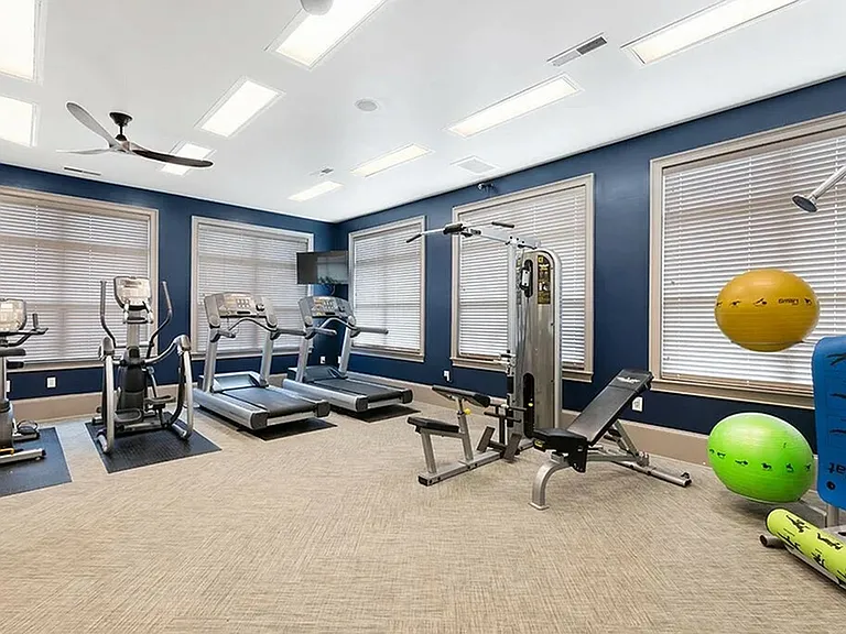 Modern apartment gym with state-of-the-art exercise machines, vibrant stability balls, and sleek design for a premium fitness experience.