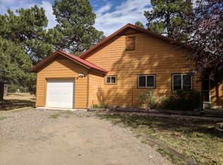 40 S Birdie Ct, Pagosa Springs, CO 81147