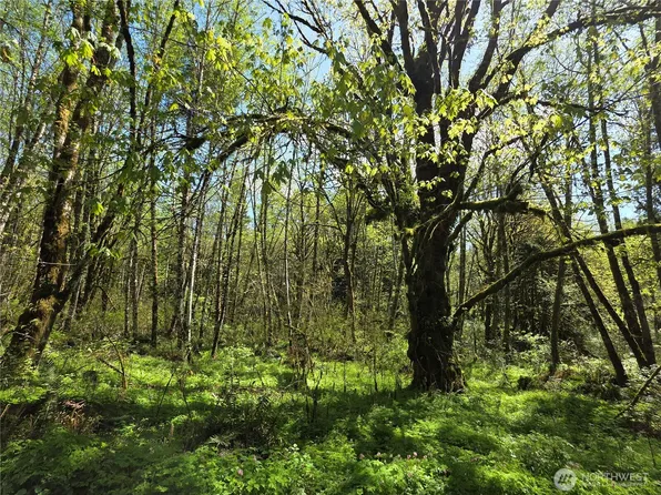 0 Mill Falls Lane, Longview, WA 98632