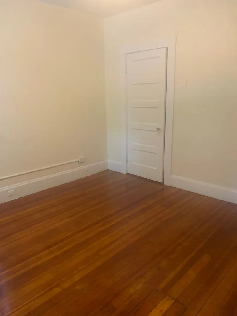 227 Chestnut Hill Ave #1A Boston MA 02134 — Photo 4
