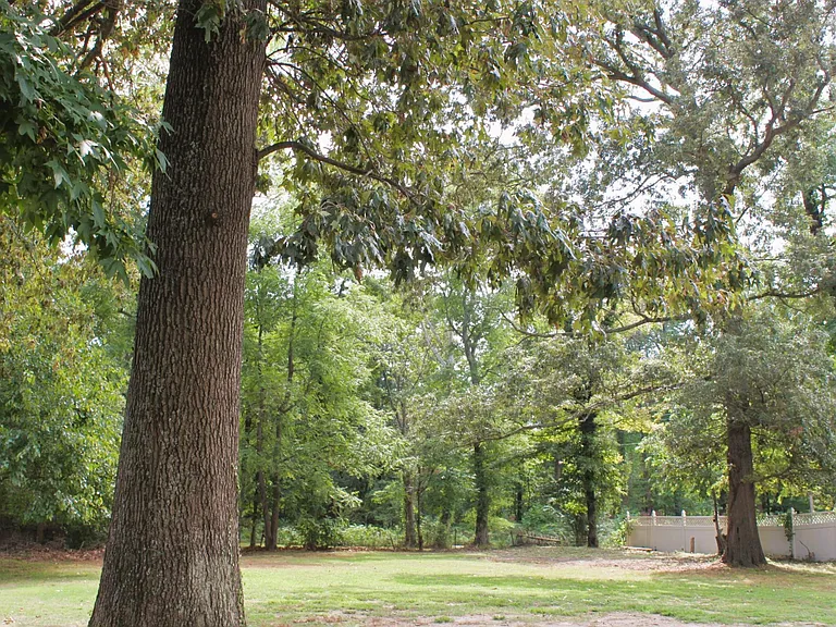 Large Back Yard