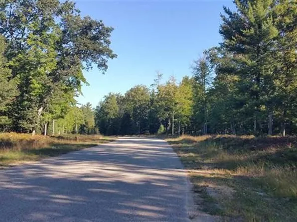 1 Hisper Cv, Houghton Lake, MI 48629
