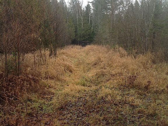 4th image of W7015 County Road 338