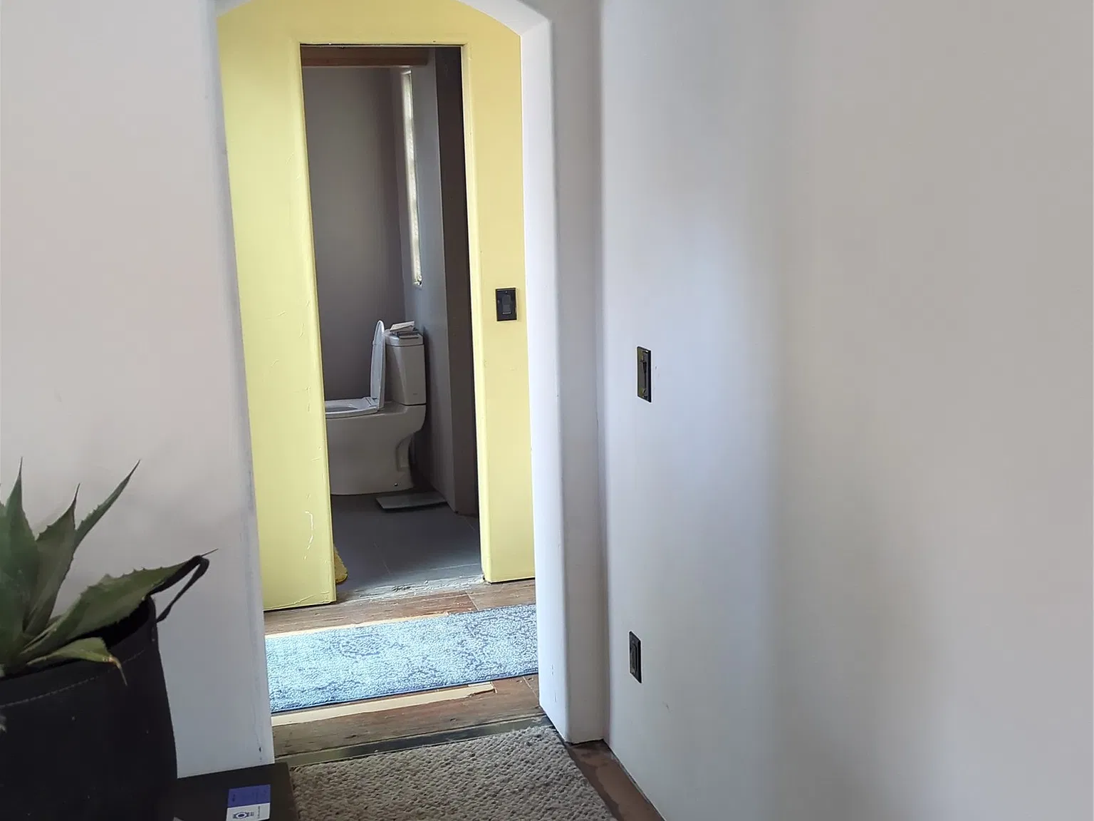 1 bed, 1000 sqft, $1,500 — Photo 2