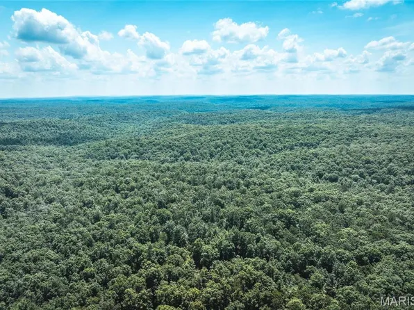 0 Highway B #65, Ellington, MO 63638