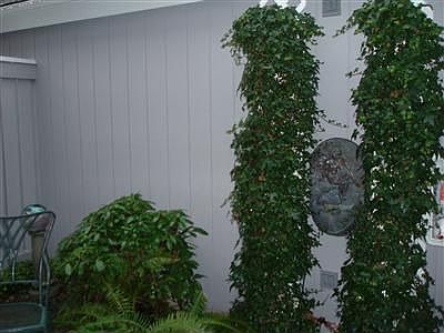 A lovely courtyard greets you and your visitors.