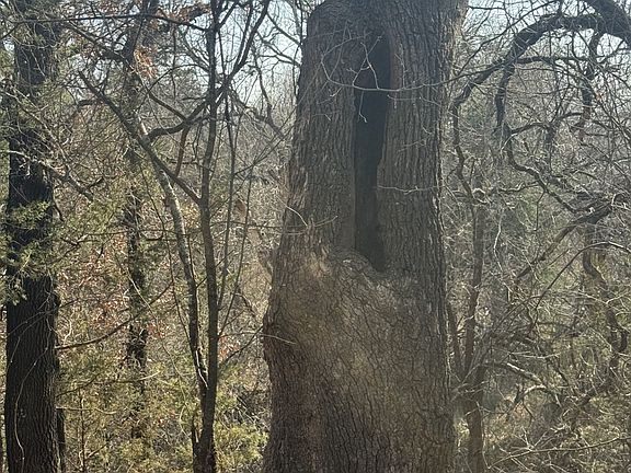 4th image of Tbd Denver Rd