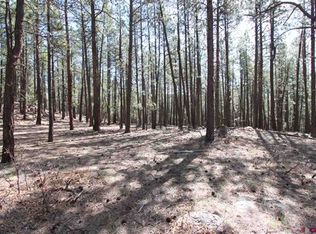 42 Mountain Ct, Bayfield, CO 81122
