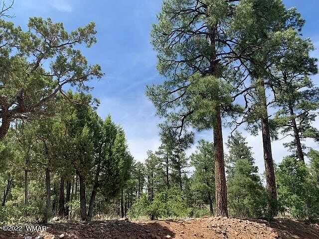 1st image of 1530 S Twin Peak Trl