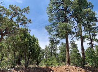 1530 S Twin Peak Trl, Show Low, AZ 85901