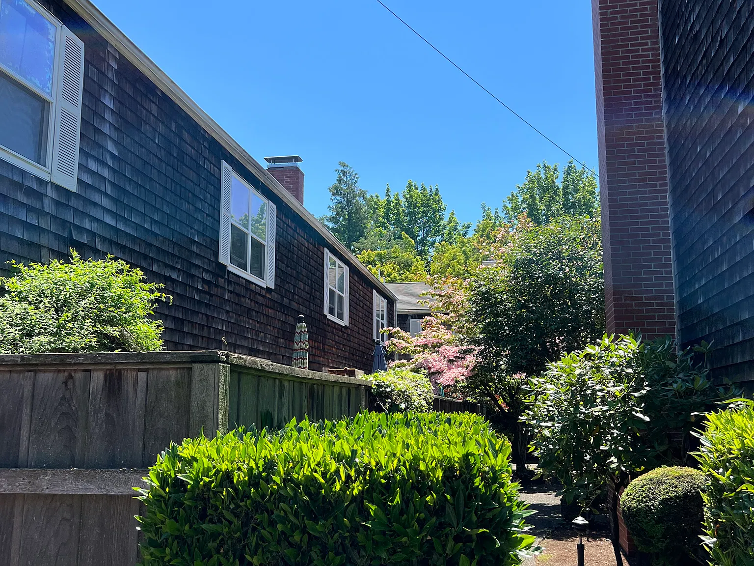1 bed, 800 sqft, $1,025 — Photo 2
