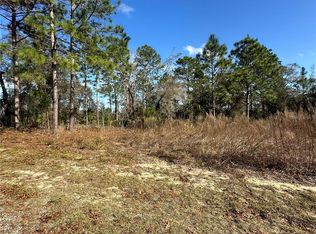 2067 W Wilmington Loop, Citrus Springs, FL 34434