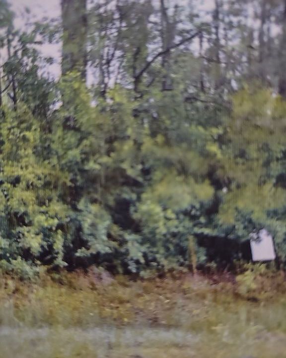 1st image of LOT 325 Woodland West Dr