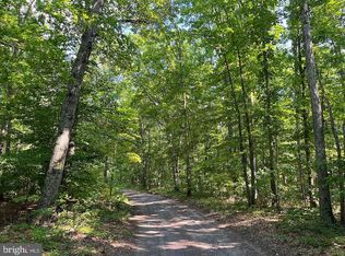 Residue Lot American Way, Lignum, VA 22726