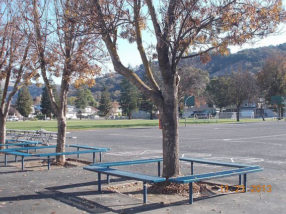 School Playground