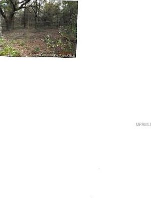 1st image of 12135 S Pine Oak Ter