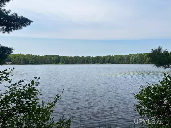 PARCEL 1 Grant Lake Rd, Republic, MI 49879
