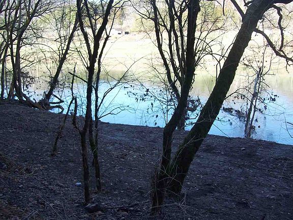 2nd image of 984 Clinch River Cir