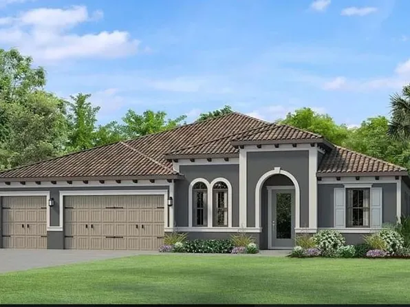 17812 Daisy Farm Dr, Lutz, FL 33559