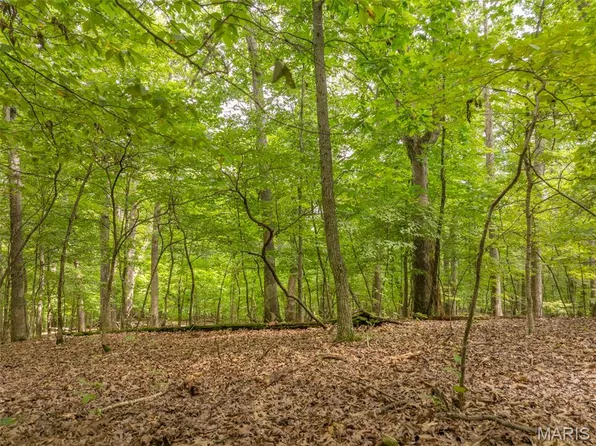 2531 Alpine Trail Dr, Innsbrook, MO 63390