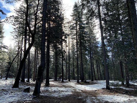 3rd image of 0 McCumber Lake Rd