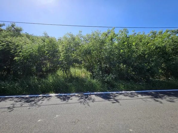 41-M Whim Whim (Two Will) WE, St. Croix, VI 00840