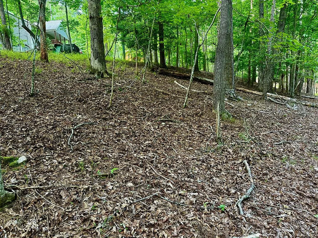 694 Echo Ln photo 1