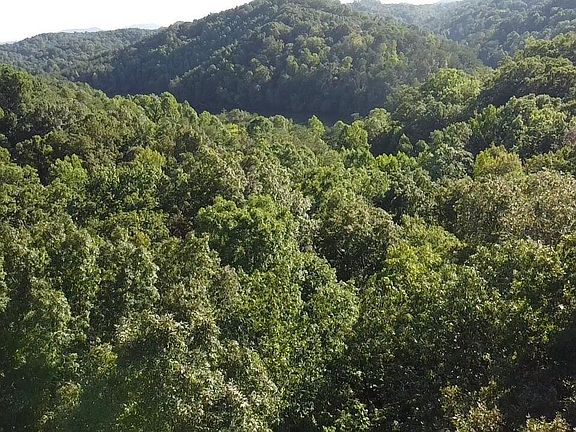 3rd image of 19 Old Citico Rd