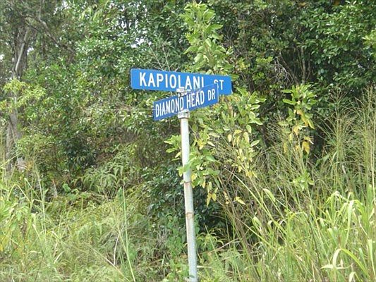 2nd image of Kapiolani St Lot 395