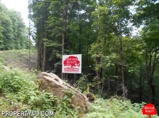 125 Twin Oaks Rd, Webster Springs, WV 26288