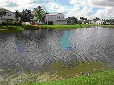 Lake view