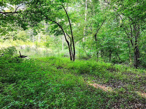 4th image of 985 State Highway 31